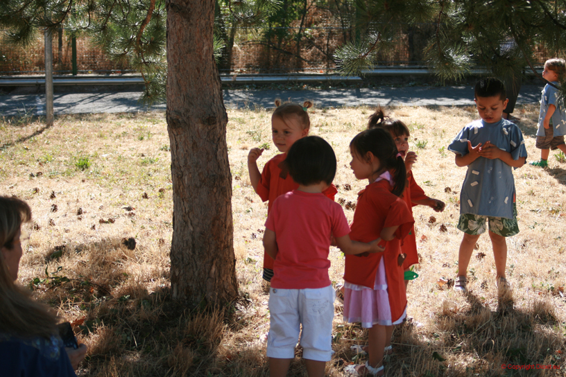 2009 06 23 17 21 59 0121